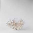 Online Designer Kitchen DRIED TUMBLEWEED