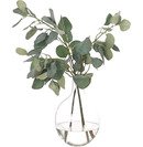 Online Designer Living Room Eucalyptus in Glass Vase